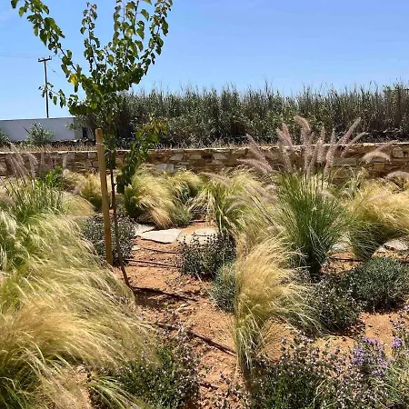 Olympia With Private Pool * Antíparos