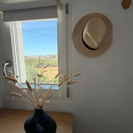 Villa Olympia With Private Pool Antiparos