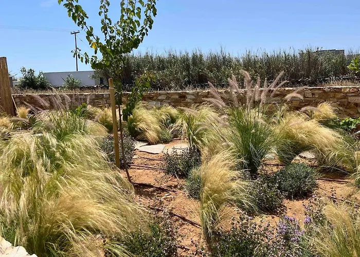 Olympia With Private Pool * Antiparos